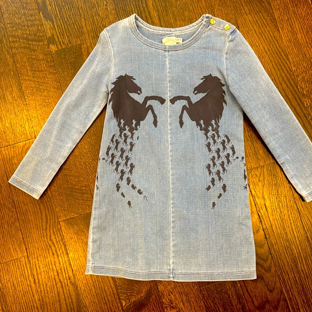 Chloe size 6 denim little girl’s dress